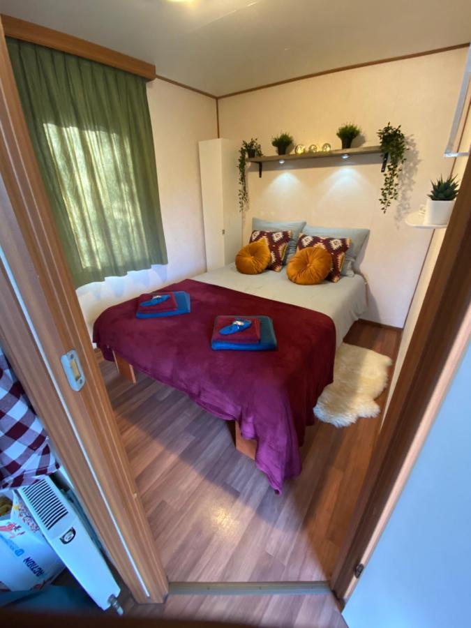 Gezellige Chalet In Bosrijke Omgeving Villa Anloo Kültér fotó