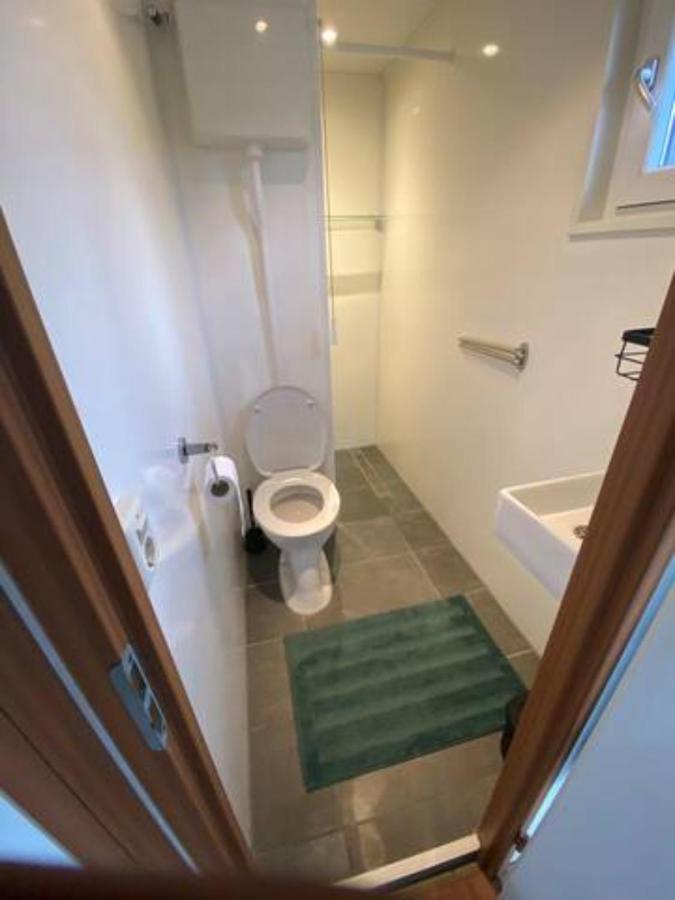 Gezellige Chalet In Bosrijke Omgeving Villa Anloo Kültér fotó